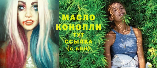 apvp Вяземский