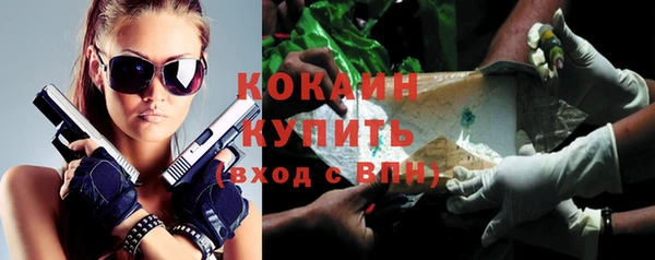apvp Вяземский