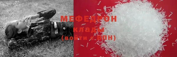 apvp Вяземский