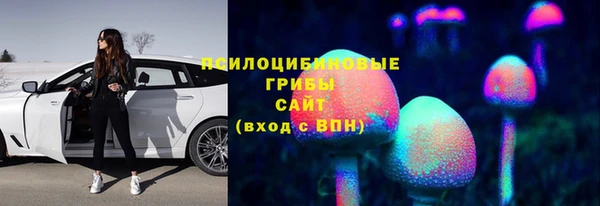 apvp Вяземский