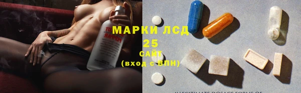 apvp Вяземский