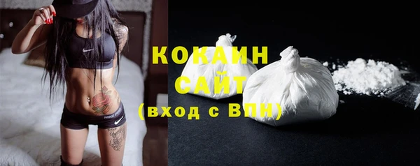 apvp Вяземский
