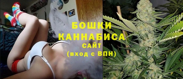 apvp Вяземский