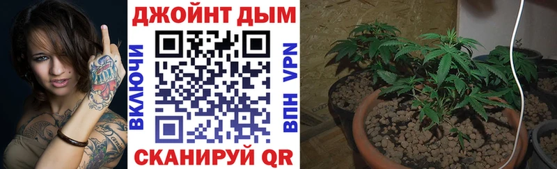 Купить где  Бобров  Бошки марихуана Amnesia 